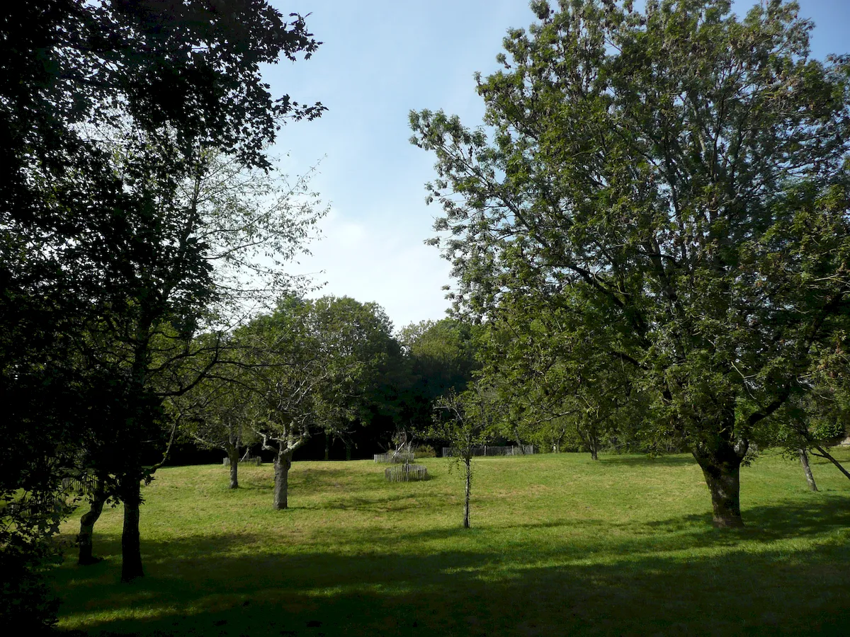 Balade aux Montboucons agricoles - 5 juillet 2023