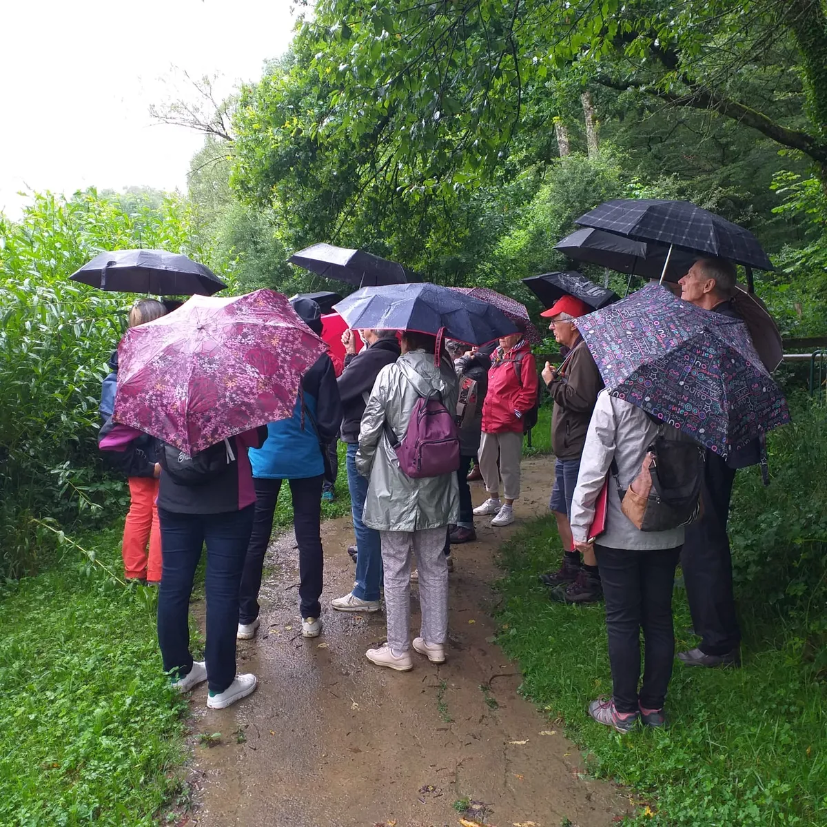 _1200x1200_ecole Sous la pluie_10