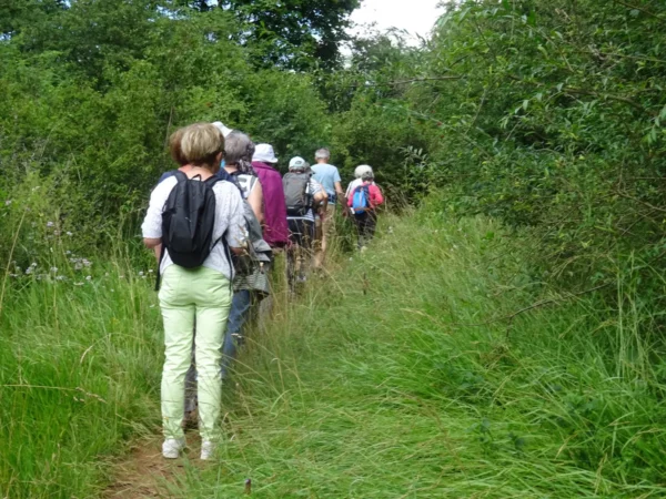 Balade Sur les hauts des Montboucons - mardi 16 juillet