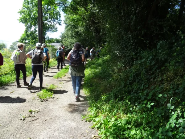 Balade Sur les hauts des Montboucons - mardi 16 juillet