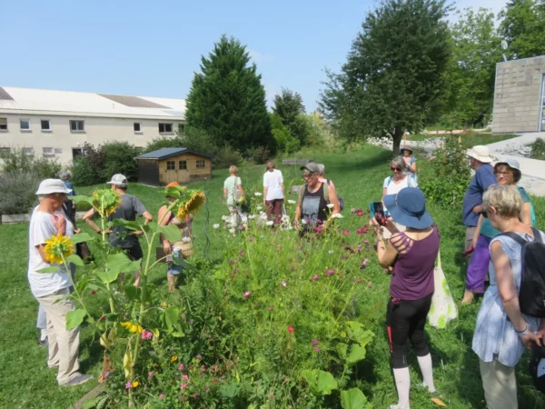 Montrapon se met au vert ! mercredi 31 juillet